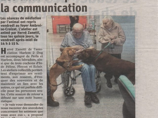 article est republicain isolement communication animal meurthe moselle